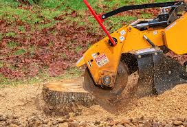 How Our Tree Care Process Works  in  Post Falls, ID