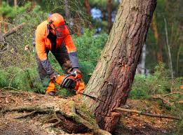 Best Lawn Watering Services  in Post Falls, ID