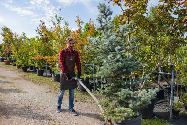 Best Weed Control  in Post Falls, ID